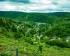 Green landscape photo