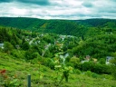 Green landscape photo