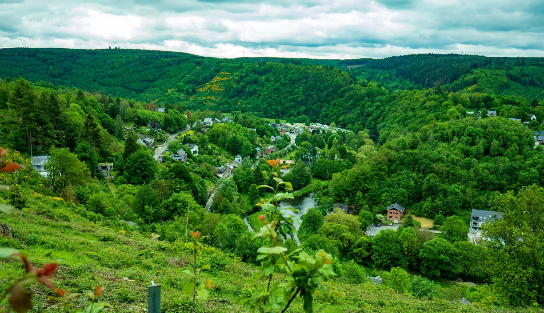 Green landscape photo