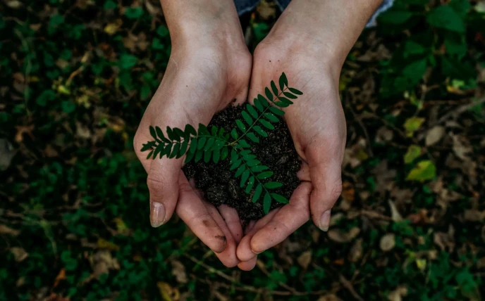 Hands carrying earth in nature
