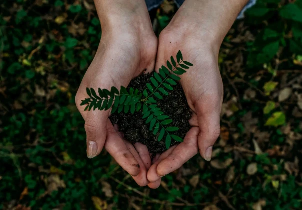 Hands carrying earth in nature
