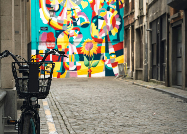 Bike in Brussels